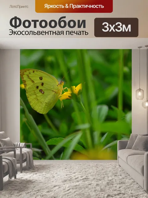 Фотообои Макрос
