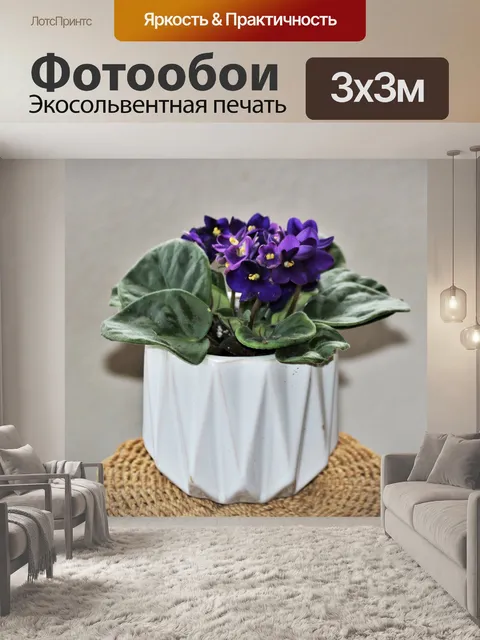 Фотообои Африканский фиолетовый цветок на столе