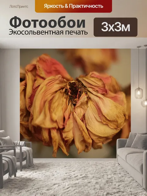 Фотообои Засохшая роза 1