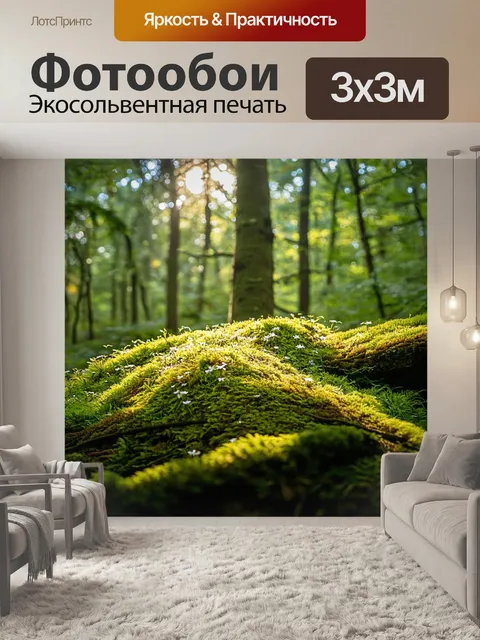 Фотообои с деревом, покрытым мхом, в плотном лесу, где солнечные лучи пробиваются сквозь листву, освещая маленькие…