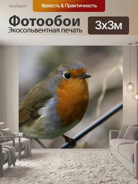 Фотообои Птица