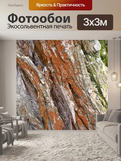 Фотообои Кора