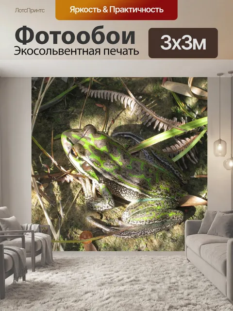 Фотообои Зеленая лягушка