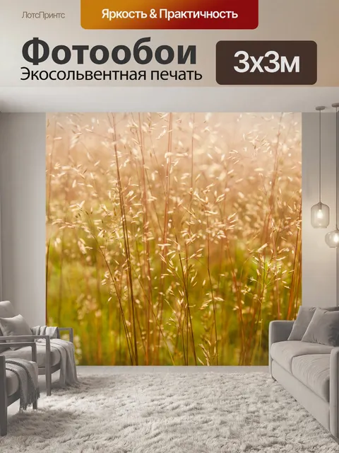Фотообои Поле летом