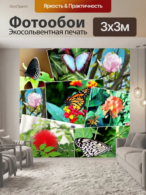 Фотообои Бабочки