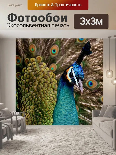 Фотообои Павлин