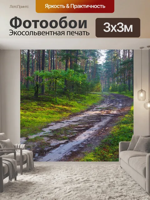 Фотообои Лес