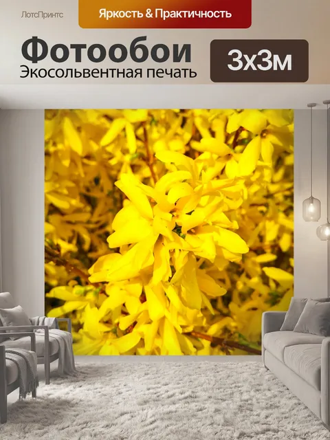 Фотообои Цветы форзиции