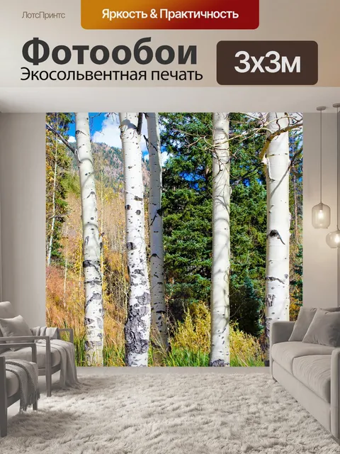 Фотообои Осина