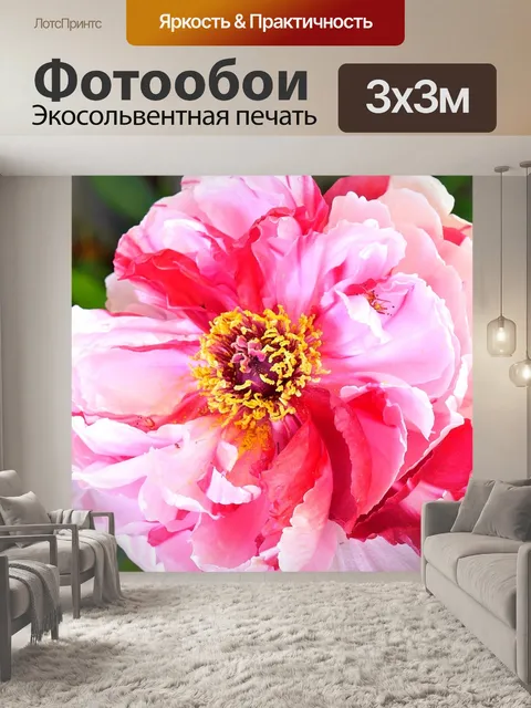 Фотообои Цветок