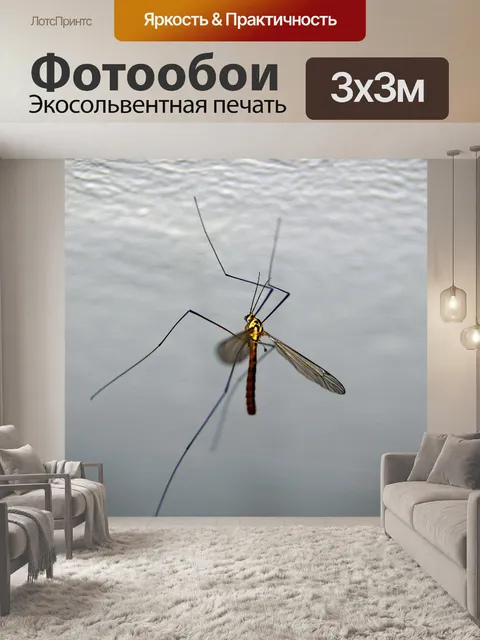 Фотообои Комар