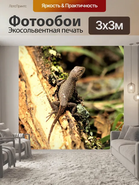 Фотообои Коричневый Anole Lizard