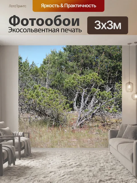 Фотообои Лес