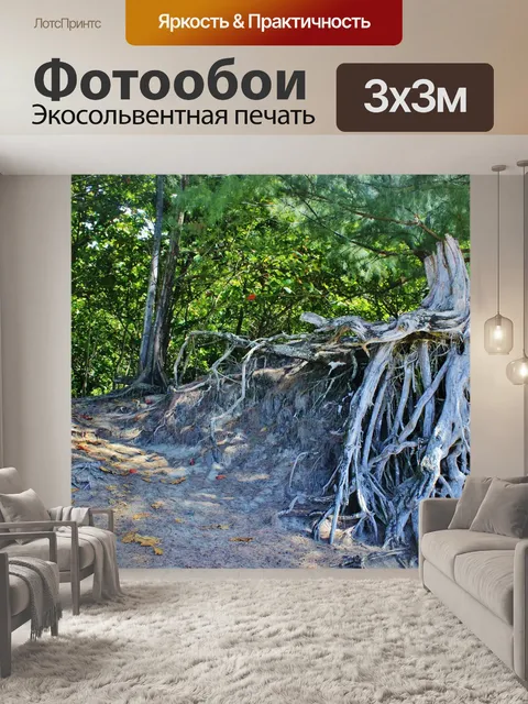 Фотообои Корень