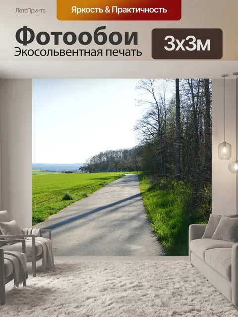 Фотообои Опушка леса