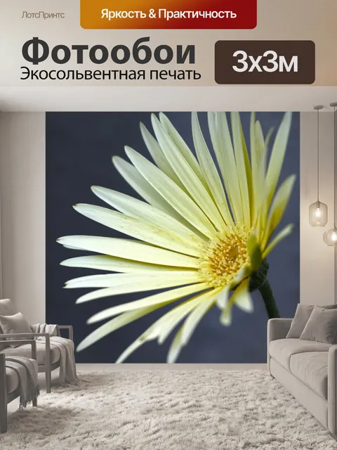 Фотообои Цветочный