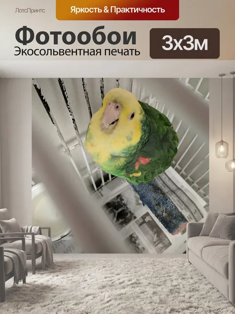 Фотообои Зеленый и желтый попугай
