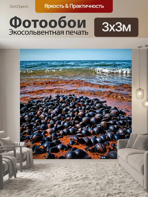 Фотообои море в стиле готический, показывающие побережье с множеством черных ракушек, запятых в ржавой воде