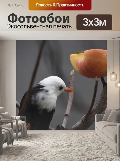 Фотообои Птицы