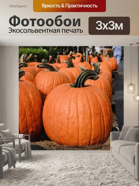 Фотообои Тыквенные патч