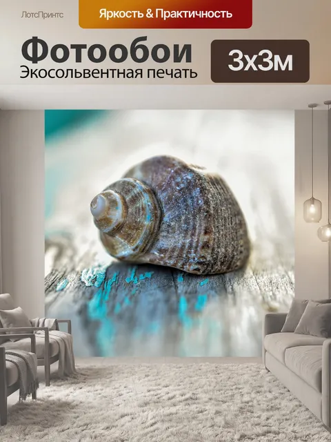 Фотообои Seashell