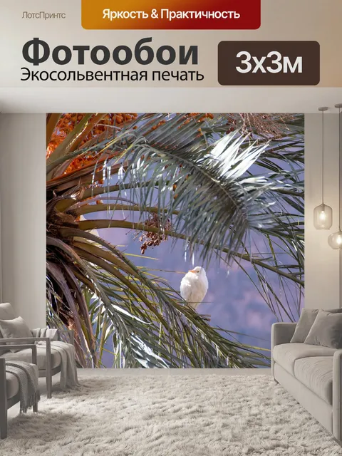 Фотообои Птица