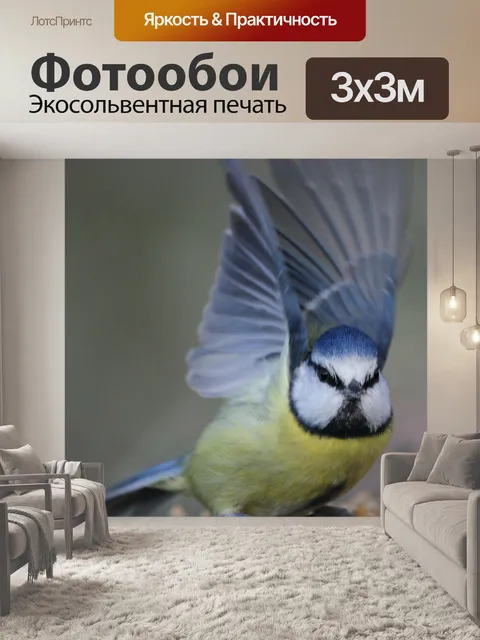 Фотообои Лазоревка