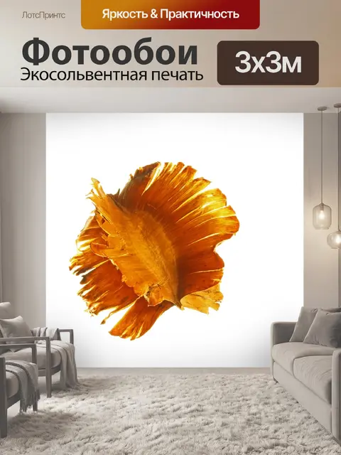 Фотообои семена крылатого гребешка