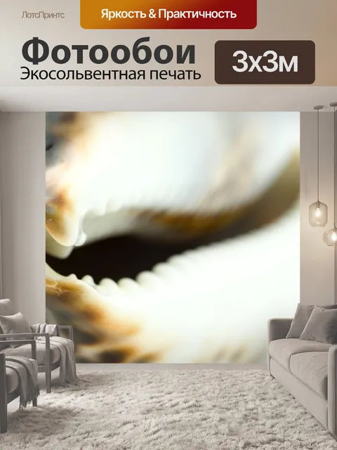 Фотообои Раковина