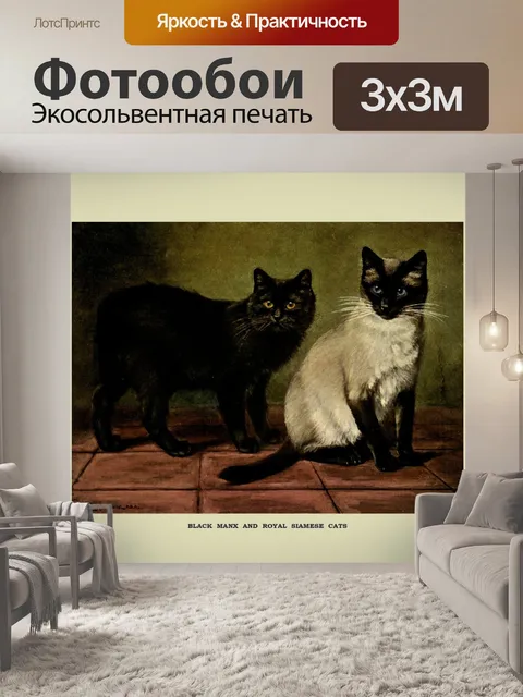 Фотообои Кошки Урожай Живопись