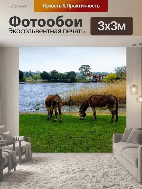 Фотообои Ослы в Новом лесу