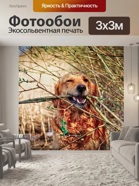 Фотообои Собака