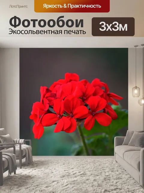 Фотообои Цветочки на головке цветка красной геран
