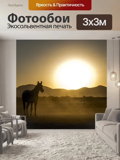 Фотообои Лошадь