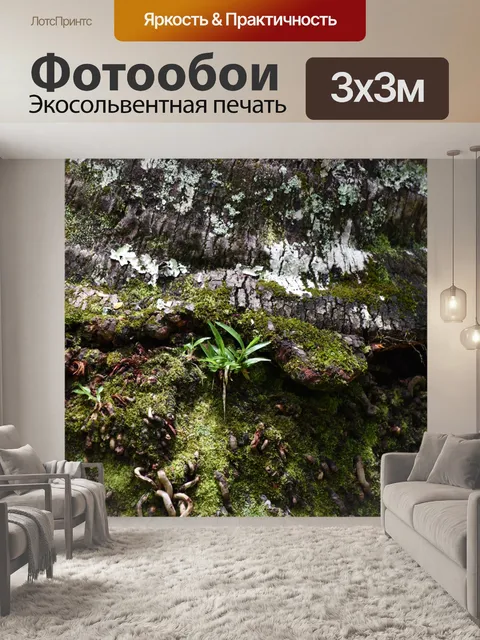 Фотообои Дождевой лес Зеленые растения Фон