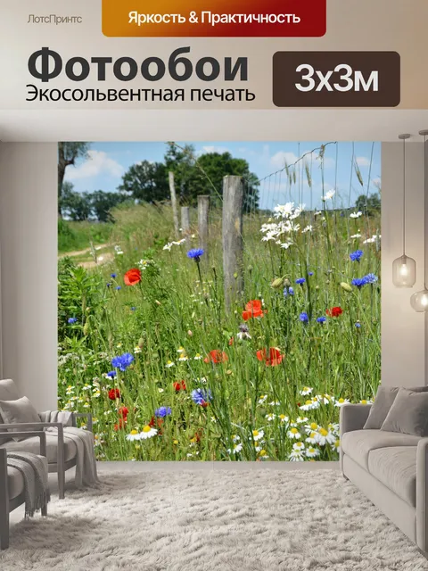 Фотообои Полевые цветы