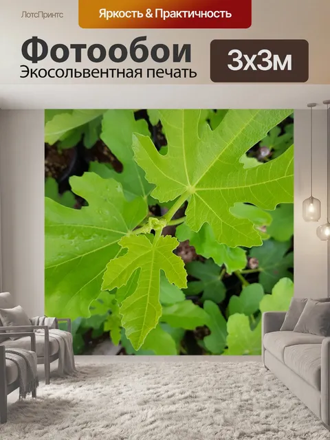 Фотообои Фиговый листок