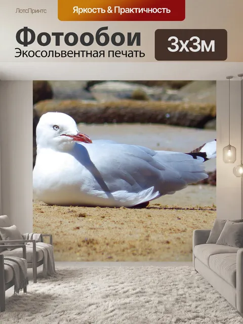 Фотообои Птица