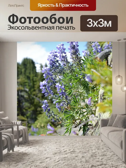 Фотообои Люпины