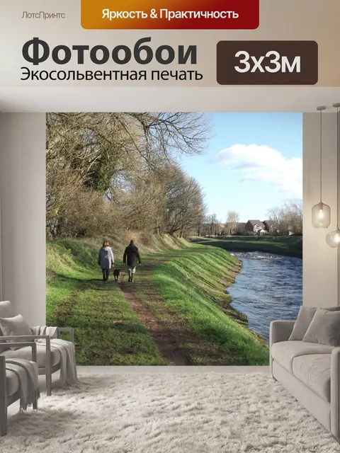 Фотообои Прогулки с собакой