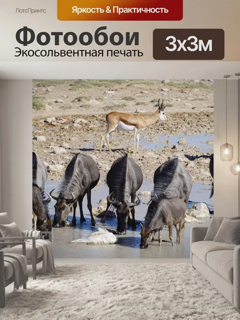 Фотообои Gnu