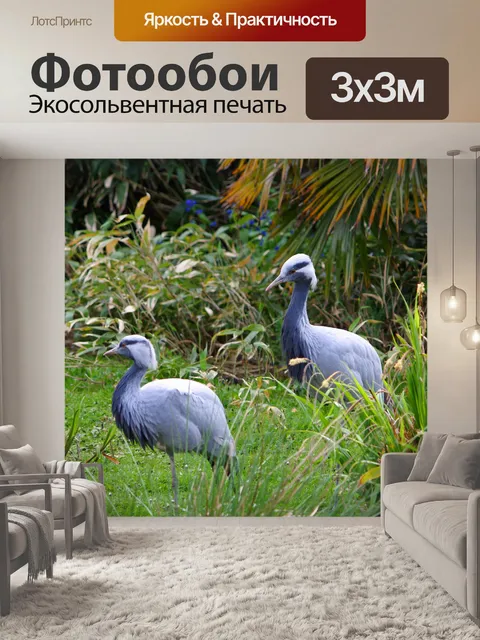 Фотообои Краны