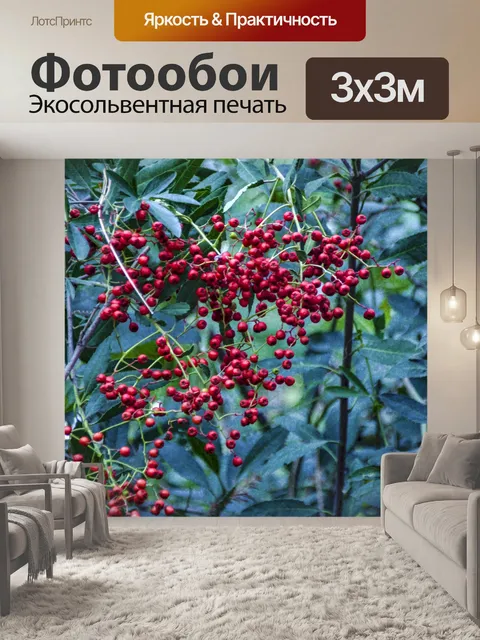 Фотообои Ягода Буш
