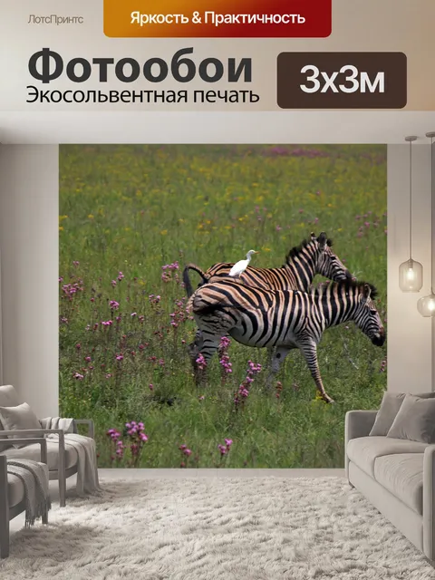 Фотообои равнины зебры с белой цаплей
