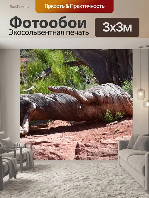 Фотообои Час земли