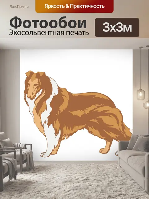 Фотообои Собака, колли Клипарт