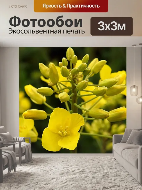 Фотообои Изнасилование blossom