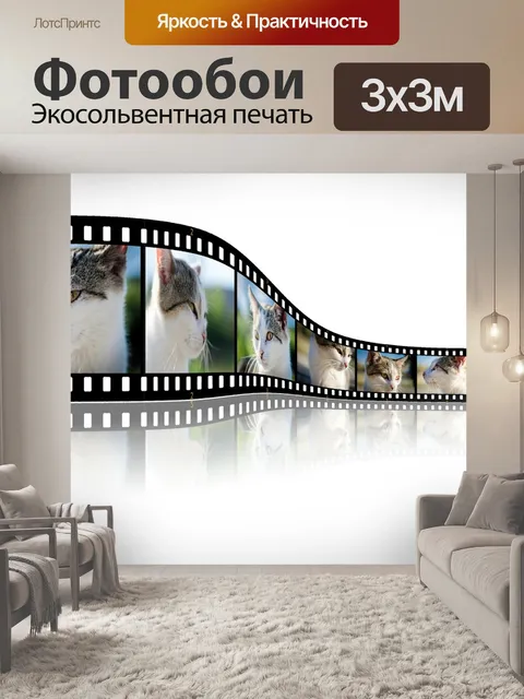 Фотообои Кошка