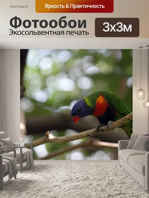 Фотообои Тигр попугай в Jurong Парк птиц