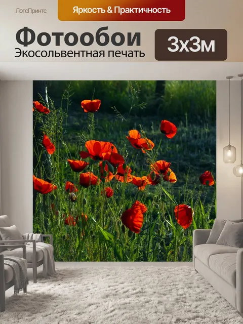 Фотообои Маки поле полевые цветы луг